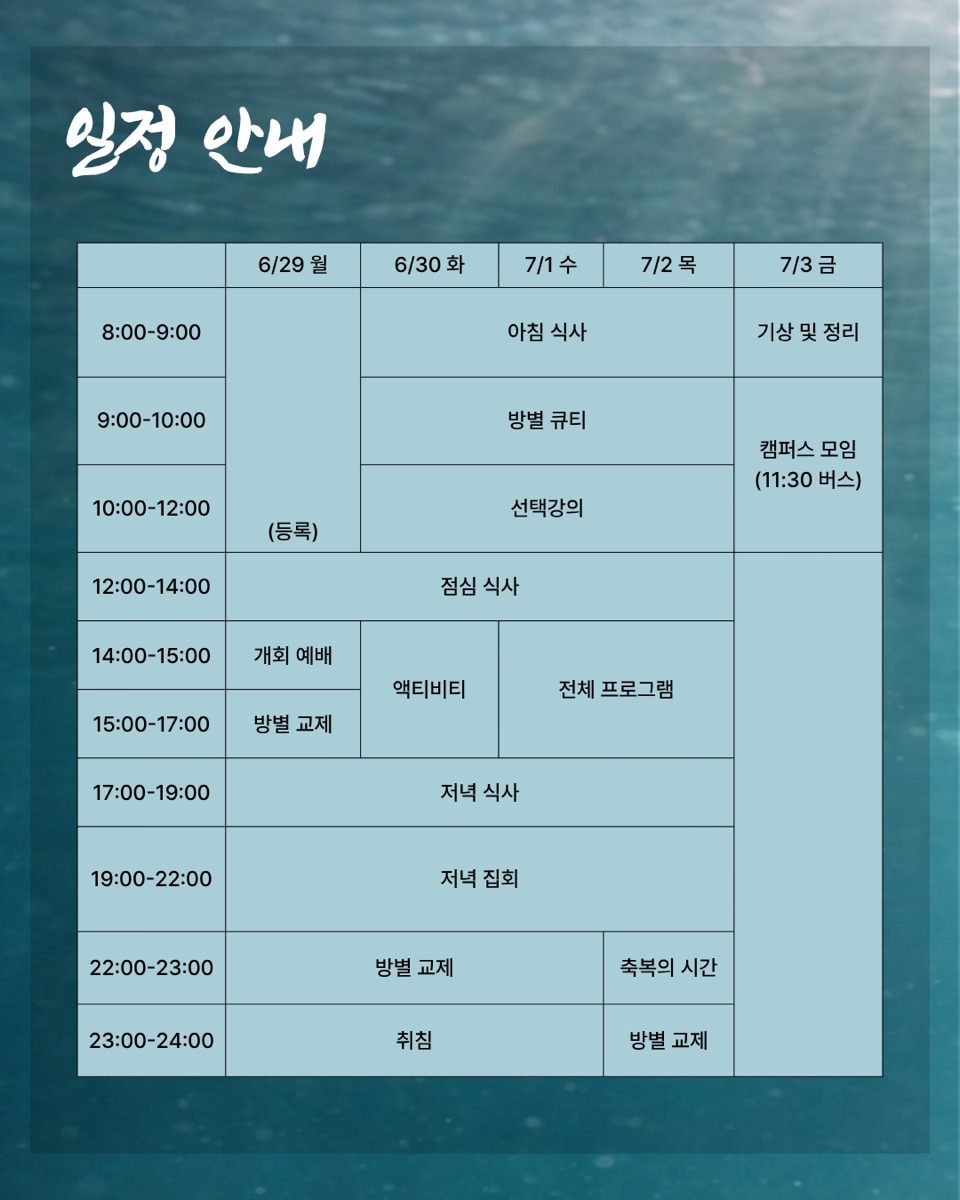 일정 안내